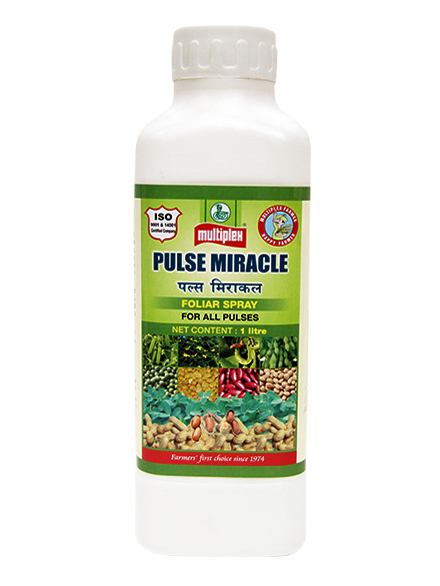 uploads/images/prod/Pulse Miracle.png